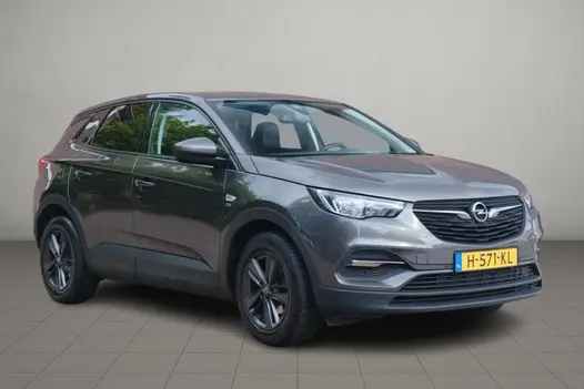 Opel Grandland X 1.2 Turbo 130pk Aut. 120 Jaar Edition | Navi | App Connect | Climate | Cruise | PDC | Trekhaak